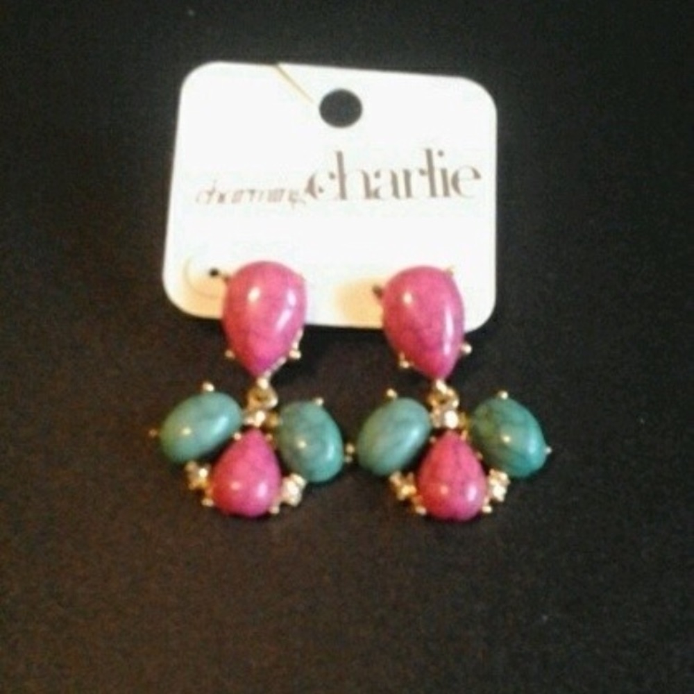 Charming Charlie’s pierced earrings